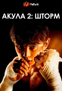 Акула 2: Шторм