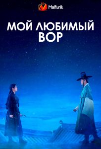 Мой любимый вор